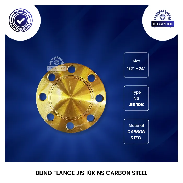 BLIND FLANGE JIS 10K NS CARBON STEEL