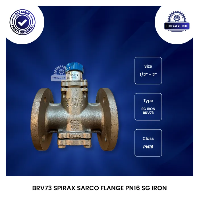 BRV73 SPIRAX SARCO FLANGE PN16 SG IRON