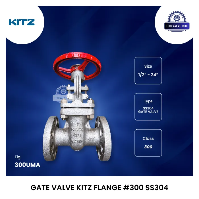 GATE VALVE KITZ FLANGE #300 SS304