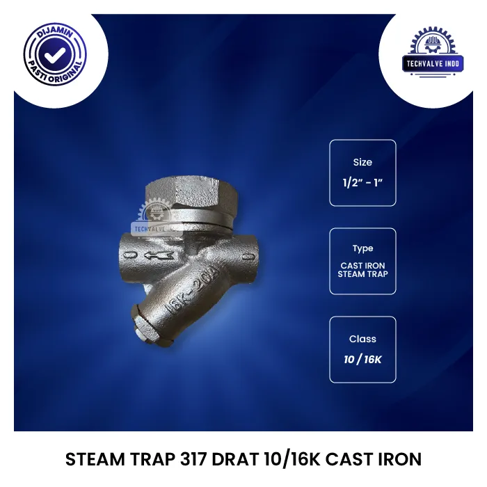 STEAM TRAP 317 DRAT 10/16K CAST IRON