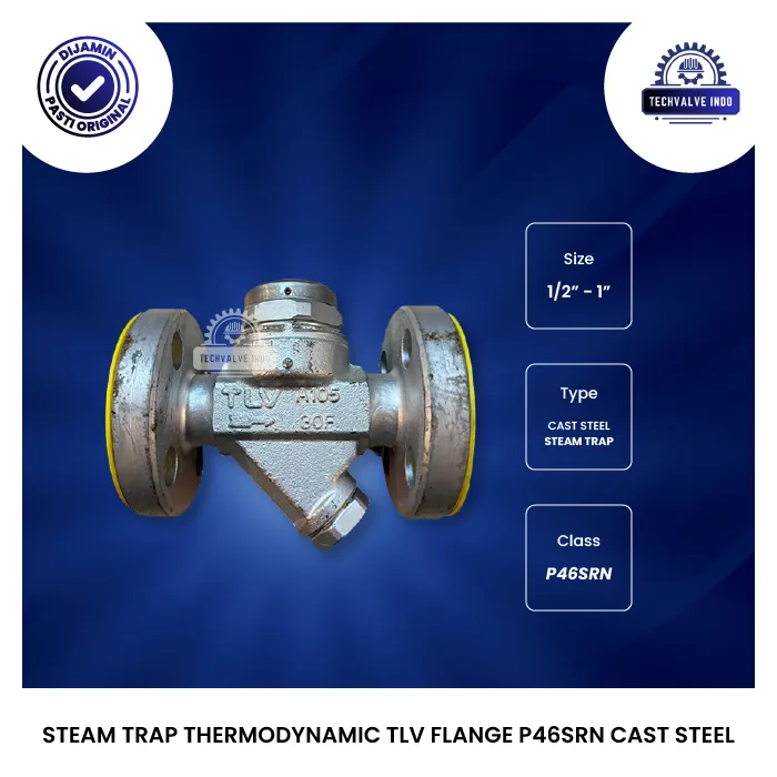 STEAM TRAP THERMODYNAMIC TLV FLANGE P46SRN CAST STEEL