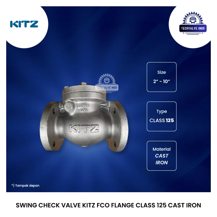 SWING CHECK VALVE KITZ FCO FLANGE CLASS 125 CAST IRON